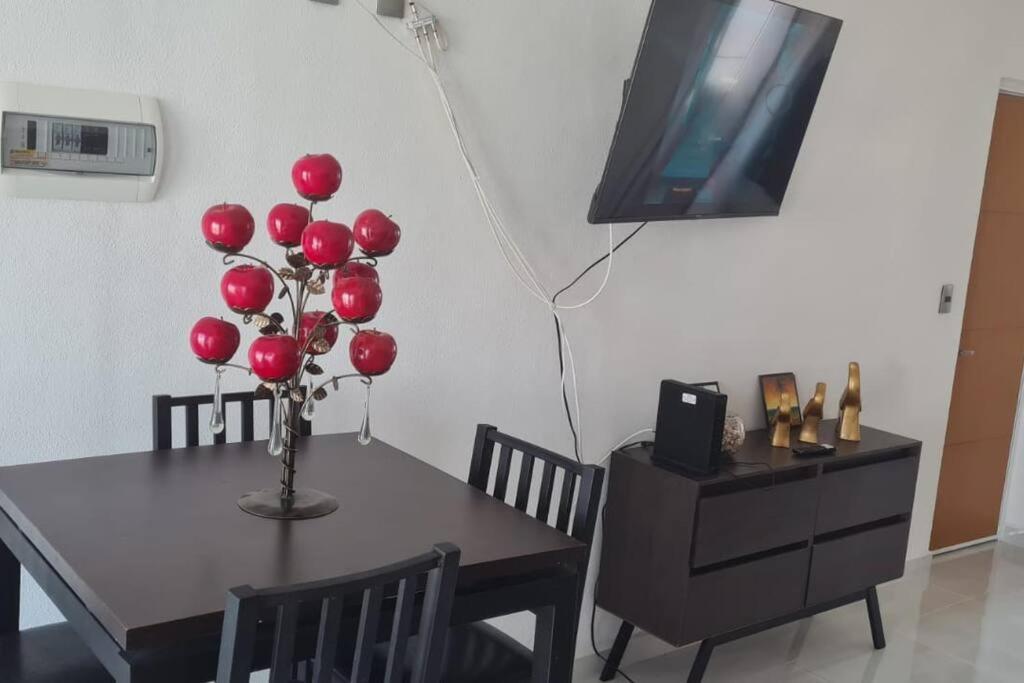 曼萨尼约Bonito Penthouse Con Roof Garden公寓 外观 照片